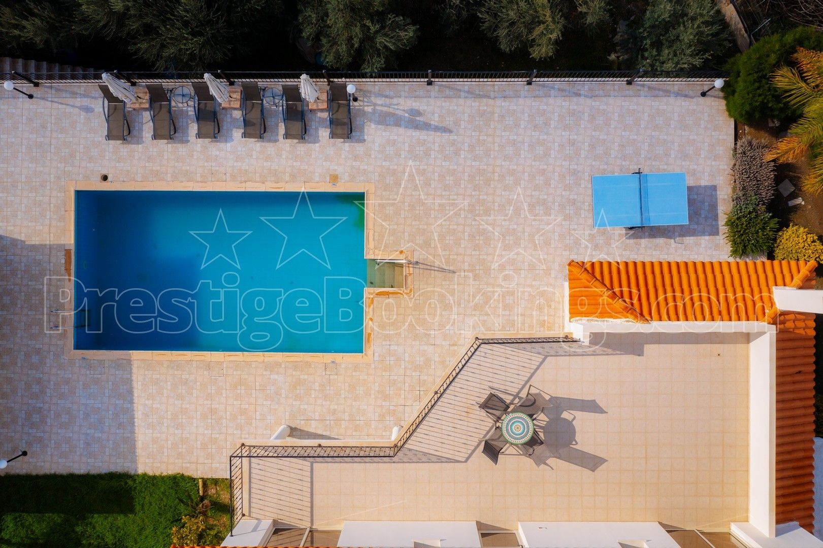 image/jpeg image/jpeg